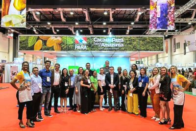 notícia: Cacau paraense marca presença no Festival Internacional do chocolate e cacau de Salvador