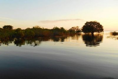 notícia: Planetário do Pará divulga lista de vencedores do Concurso Ciência e Arte