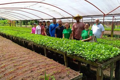 notícia: Emater conclui módulos com segunda turma do Projeto Tecnologias Integradas na Agricultura Familiar 