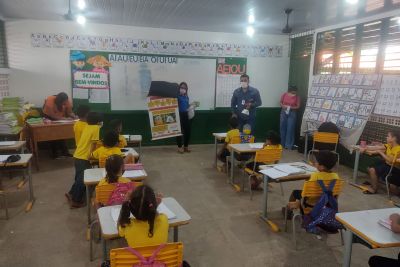notícia: Mobilização nas escolas e ações nos portos fortalecem o combate a mosca da carambola em todo o estado
