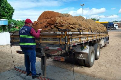 notícia: Fiscais da Sefa apreendem quase 15 toneladas de minério em Dom Eliseu