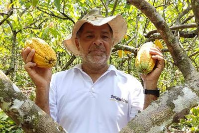 notícia: Chocolate produzido com amêndoa paraense é prata em competição internacional