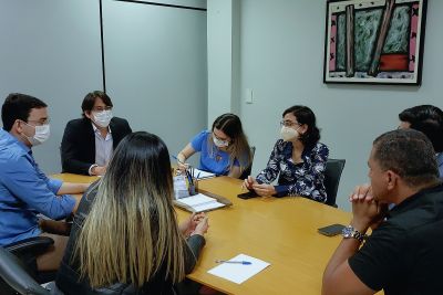 notícia: Reunião discute Lei Orgânica dos policiais penais