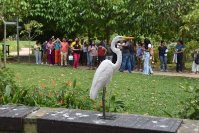 notícia: HC leva pacientes psiquiátricos para passeios em locais públicos de Belém