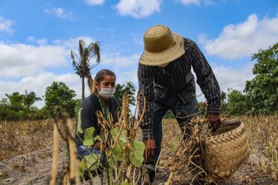 notícia: Projetos da Emater podem injetar R$ 450 milhões na agricultura familiar paraense