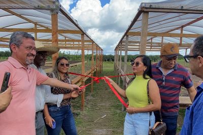 notícia: Seaster entrega duas unidades produtivas do "Hortas Sociais" em Concórdia do Pará