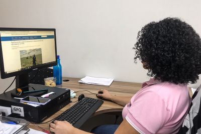 notícia: Adepará e Mapa promovem reunião para atualizar técnicos sobre pragas