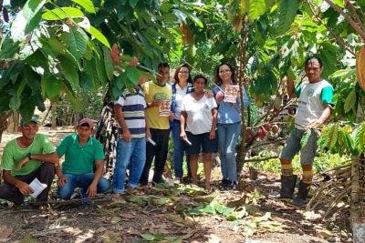 notícia: Técnicos da Adepará participam no Acre de ações de combate à praga do cacaueiro
