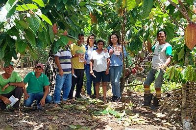 notícia: Adepará participa, no Acre, de ações de combate à monilíase do cacaueiro