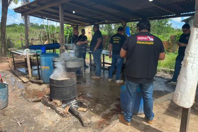 notícia: Adepará interdita abatedouros de aves e suínos em Benevides e Marituba