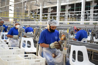 notícia: Tesouro Nacional classifica 21 estados com capacidade de pagamento A