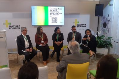 notícia: Pará é destaque no painel 'Os aprendizados da política pública de sociobioeconomia na Amazônia'
