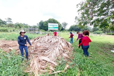 notícia: Evento 'Floresta Pará 2022', do Ideflor-Bio, recebe certificação de Neutralização