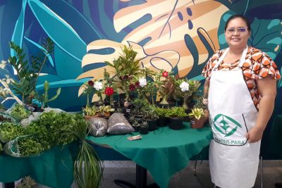 notícia: Empresa de Assistência Técnica e Extensão Rural promove Feira da Agricultura Familiar