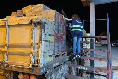 notícia: Sefa apreende 1.618 garrafas de cachaça sem nota fiscal em Conceição do Araguaia