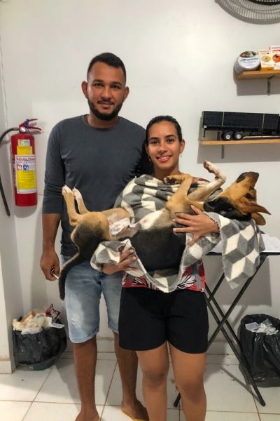 Alunos com animal para cuidados pós-operatórios