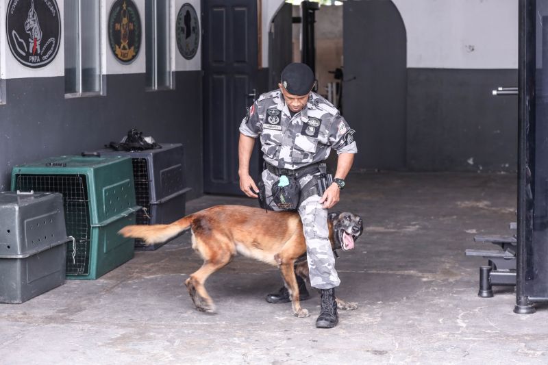 <div class='credito_fotos'>Foto: Marcelo Seabra / Ag. Pará | <a href='/midias/2023/originais/15740_1f59130e-0022-78d3-8b8b-9fc3b0855b34.jpg' download><i class='fa-solid fa-download'></i> Download</a></div>