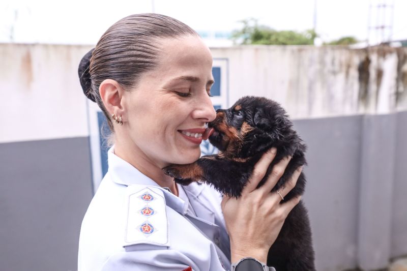 <div class='credito_fotos'>Foto: Marcelo Seabra / Ag. Pará | <a href='/midias/2023/originais/15740_315addd3-f757-58a5-ba78-cd4be2e8e5b4.jpg' download><i class='fa-solid fa-download'></i> Download</a></div>