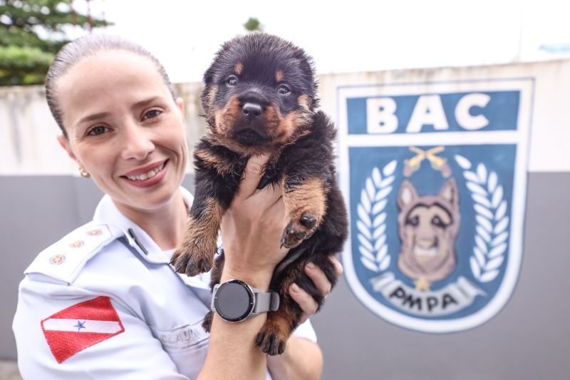 CAPITÃ CLAUDIA RUFINO <div class='credito_fotos'>Foto: Marcelo Seabra / Ag. Pará | <a href='/midias/2023/originais/15740_6088a857-724c-000f-cc43-fcd31c04dca5.jpg' download><i class='fa-solid fa-download'></i> Download</a></div>