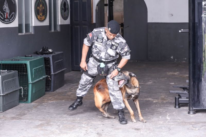 <div class='credito_fotos'>Foto: Marcelo Seabra / Ag. Pará | <a href='/midias/2023/originais/15740_6c721184-c3c9-0dd4-04fd-840d8beb3f30.jpg' download><i class='fa-solid fa-download'></i> Download</a></div>