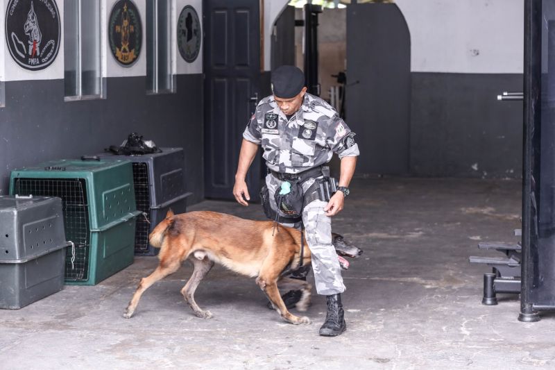 <div class='credito_fotos'>Foto: Marcelo Seabra / Ag. Pará | <a href='/midias/2023/originais/15740_a567d7ed-41c0-629a-2ac6-4ae504a947b1.jpg' download><i class='fa-solid fa-download'></i> Download</a></div>