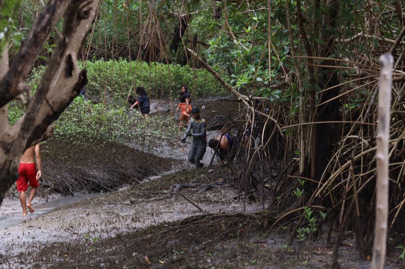 <div class='credito_fotos'>Foto: Alex Ribeiro / Ag. Pará | <a href='/midias/2023/originais/15817_f6778015-f452-a229-6f7d-f19c011da9a9.jpg' download><i class='fa-solid fa-download'></i> Download</a></div>