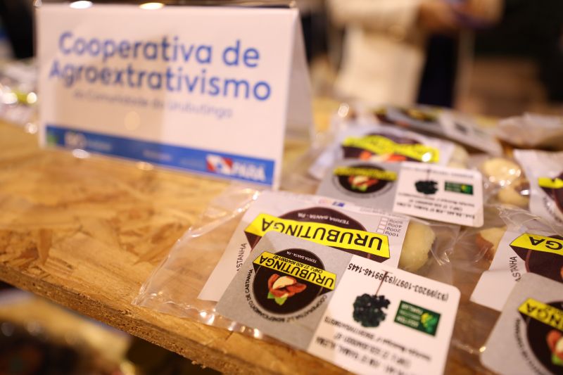 <div class='credito_fotos'>Foto: Rodrigo Pinheiro / Ag.Pará | <a href='/midias/2023/originais/15957_71b85fba-7088-35cc-da8b-87a61cc32bb1.jpg' download><i class='fa-solid fa-download'></i> Download</a></div>