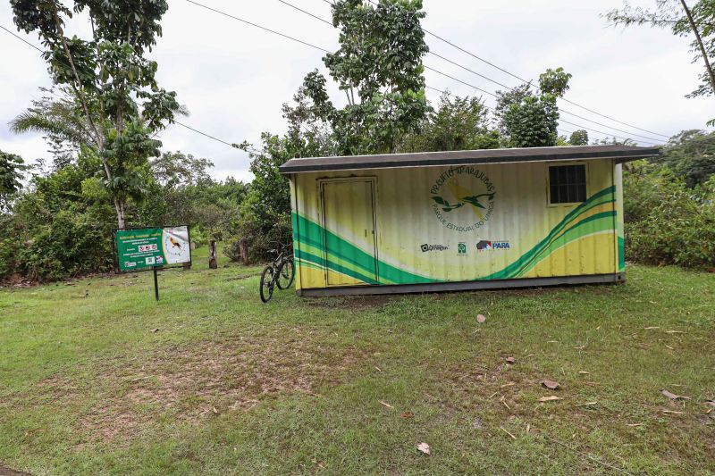  <div class='credito_fotos'>Foto: Marcelo Seabra / Ag. Pará   |   <a href='/midias/2023/originais/15966_991b87c9-0092-dbe0-e26a-a574d625b725.jpg' download><i class='fa-solid fa-download'></i> Download</a></div>