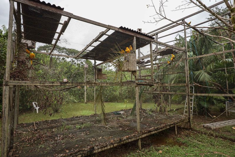  <div class='credito_fotos'>Foto: Marcelo Seabra / Ag. Pará   |   <a href='/midias/2023/originais/15966_d5d8cef1-9491-642f-420f-50712dc62acd.jpg' download><i class='fa-solid fa-download'></i> Download</a></div>