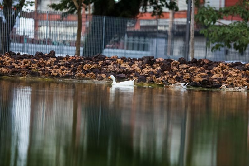  <div class='credito_fotos'>Foto: Rodrigo Pinheiro / Ag.Pará   |   <a href='/midias/2023/originais/15979_ee1715b0-11e8-d23b-a8be-dcf534213c4b.jpg' download><i class='fa-solid fa-download'></i> Download</a></div>