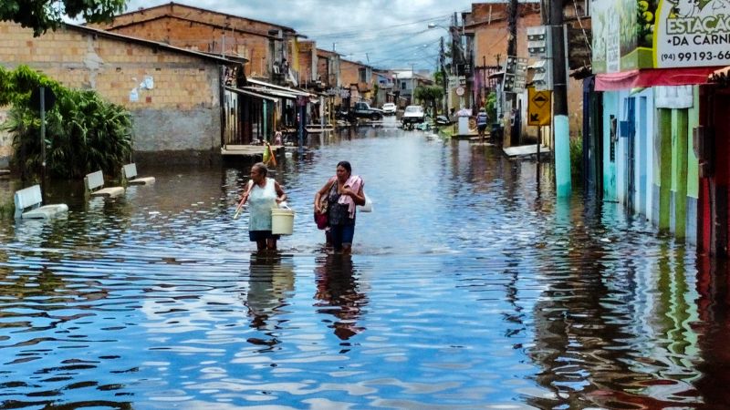  <div class='credito_fotos'>Foto: Roni Moreira / Ag.Pará   |   <a href='/midias/2023/originais/15981_22004de3-ade1-f3e3-95c5-edc563de5027.jpg' download><i class='fa-solid fa-download'></i> Download</a></div>