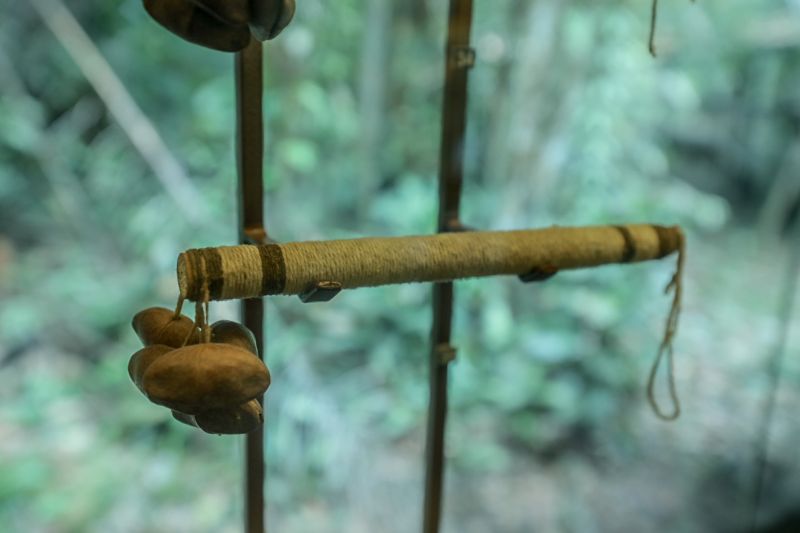  <div class='credito_fotos'>Foto: David Alves / Ag Pará   |   <a href='/midias/2023/originais/15983_9f4b11d1-a3c8-48ac-bee3-ecd6ab727ef1.jpg' download><i class='fa-solid fa-download'></i> Download</a></div>