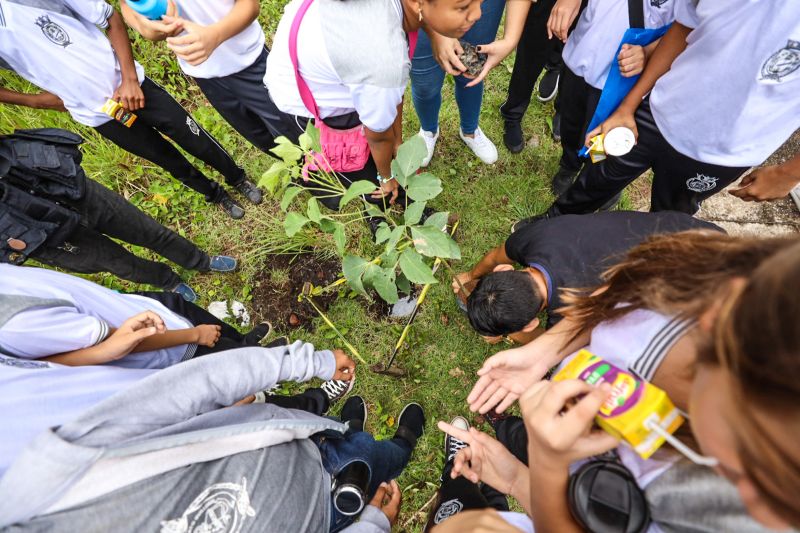  <div class='credito_fotos'>Foto: David Alves / Ag Pará   |   <a href='/midias/2023/originais/15985_42a82959-ba5f-aa7b-a118-6a41f550d8d4.jpg' download><i class='fa-solid fa-download'></i> Download</a></div>