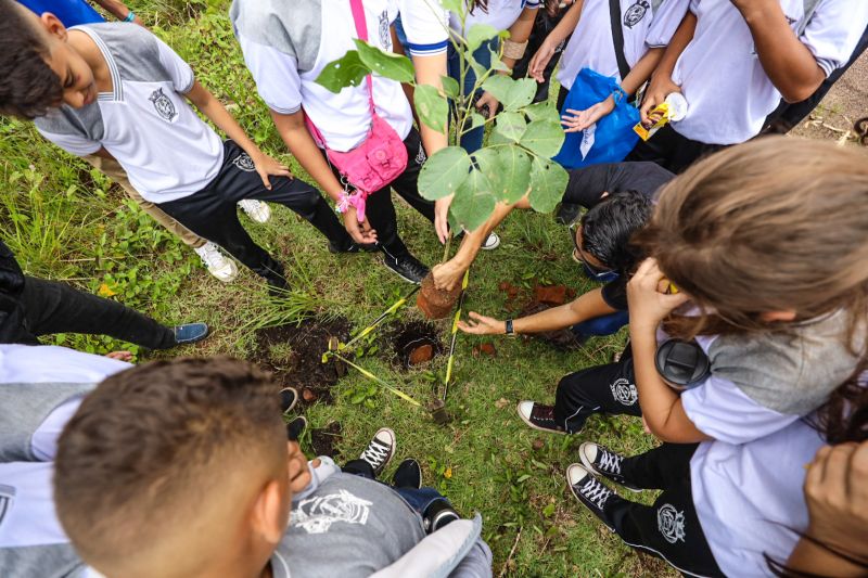  <div class='credito_fotos'>Foto: David Alves / Ag Pará   |   <a href='/midias/2023/originais/15985_44726df2-6747-87e3-1480-ce0dd2e508e2.jpg' download><i class='fa-solid fa-download'></i> Download</a></div>