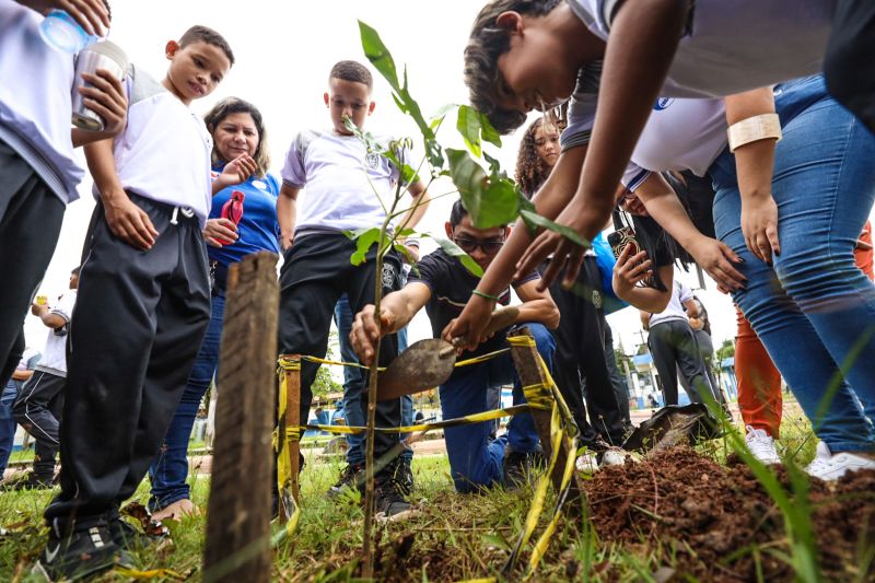  <div class='credito_fotos'>Foto: David Alves / Ag Pará   |   <a href='/midias/2023/originais/15985_51667f3f-db29-62cb-5ba1-92f3c9d0e83c.jpg' download><i class='fa-solid fa-download'></i> Download</a></div>