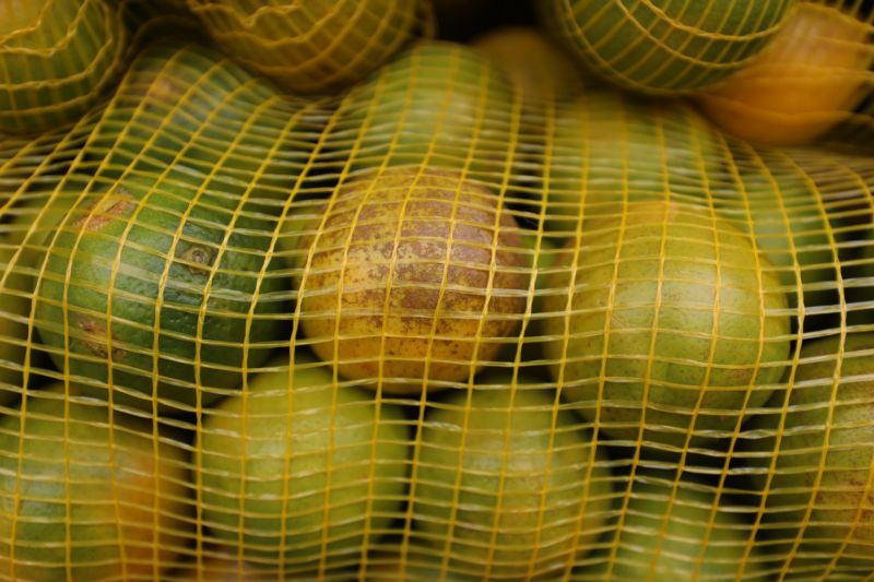 GOVERNADOR ASSINA OS - ESTRADAS E VIAS CEASA - Fotos Pedro Guerreiro <div class='credito_fotos'>Foto: Pedro Guerreiro / Ag. Pará   |   <a href='/midias/2023/originais/16034_63032067-641f-dfd4-51d5-cb638ad85a2e.jpg' download><i class='fa-solid fa-download'></i> Download</a></div>