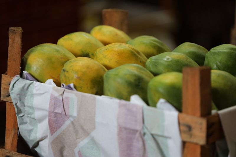 GOVERNADOR ASSINA OS - ESTRADAS E VIAS CEASA - Fotos Pedro Guerreiro <div class='credito_fotos'>Foto: Pedro Guerreiro / Ag. Pará   |   <a href='/midias/2023/originais/16034_7873b15e-ba90-a573-fda4-e91f12de32d1.jpg' download><i class='fa-solid fa-download'></i> Download</a></div>