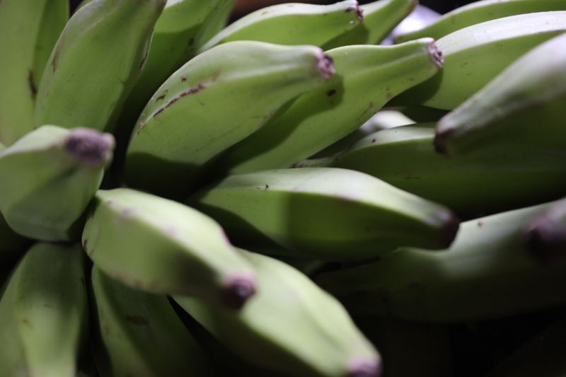 GOVERNADOR ASSINA OS - ESTRADAS E VIAS CEASA - Fotos Pedro Guerreiro <div class='credito_fotos'>Foto: Pedro Guerreiro / Ag. Pará   |   <a href='/midias/2023/originais/16034_a3af487e-8bad-b32b-6345-7b8724d4d4bd.jpg' download><i class='fa-solid fa-download'></i> Download</a></div>