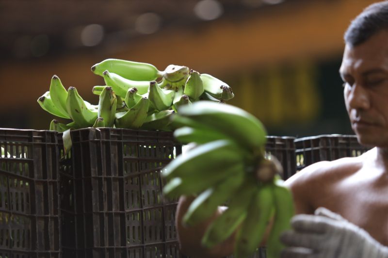 GOVERNADOR ASSINA OS - ESTRADAS E VIAS CEASA - Fotos Pedro Guerreiro <div class='credito_fotos'>Foto: Pedro Guerreiro / Ag. Pará   |   <a href='/midias/2023/originais/16034_a461ae86-a881-c7c6-d4f4-8d8443a57a76.jpg' download><i class='fa-solid fa-download'></i> Download</a></div>