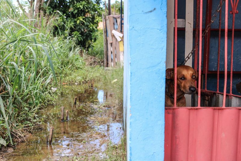 <div class='credito_fotos'>Foto: Victória Monteiro / Nucom Seac | <a href='/midias/2023/originais/16049_dcf6fe94-c4fe-5111-80a7-4dab020fdcb5.jpg' download><i class='fa-solid fa-download'></i> Download</a></div>