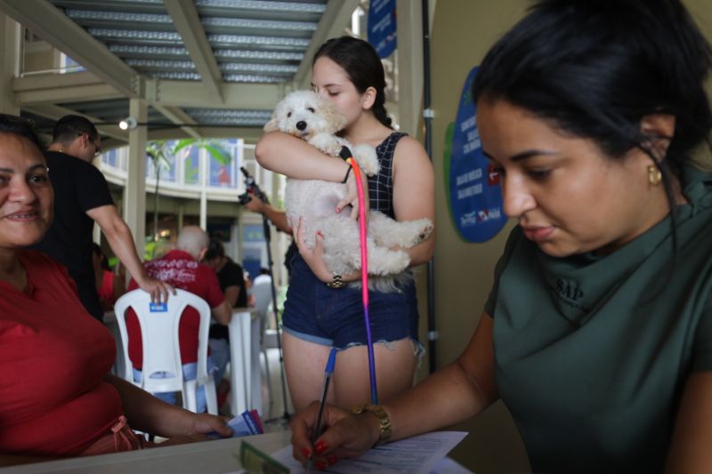 Animais precisam apenas de carinho, cuidado e aconchego