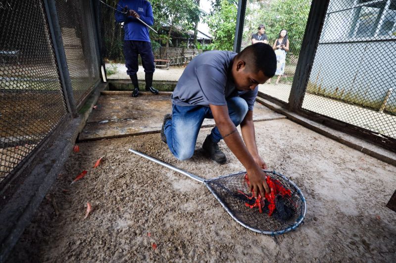 <div class='credito_fotos'>Foto: David Alves / Ag Pará | <a href='/midias/2023/originais/16244_040b78b0-21ee-5e39-a85b-ab004bf34f56.jpg' download><i class='fa-solid fa-download'></i> Download</a></div>