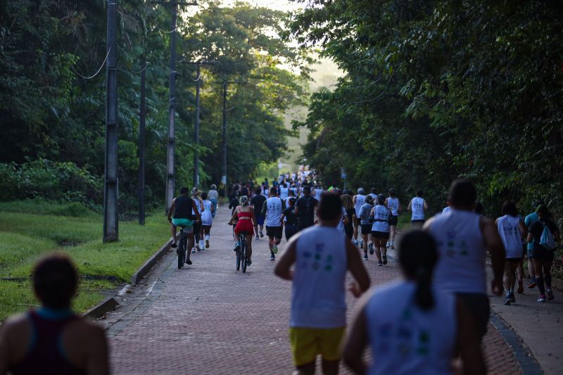  <div class='credito_fotos'>Foto: Rodrigo Pinheiro / Ag.Pará   |   <a href='/midias/2023/originais/16264_30e3f6ff-9617-2f8a-cc31-f24610ef2747.jpg' download><i class='fa-solid fa-download'></i> Download</a></div>