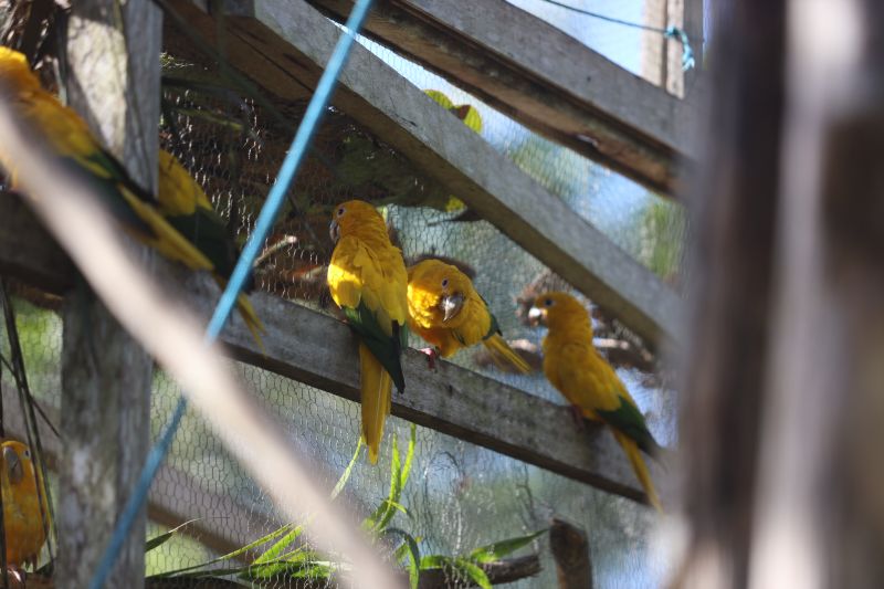  <div class='credito_fotos'>Foto: Rodrigo Pinheiro / Ag.Pará   |   <a href='/midias/2023/originais/16265_1bab43f6-47a1-e519-31e3-b7258ec8f9b4.jpg' download><i class='fa-solid fa-download'></i> Download</a></div>