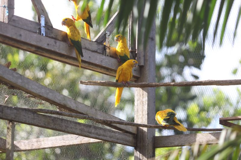  <div class='credito_fotos'>Foto: Rodrigo Pinheiro / Ag.Pará   |   <a href='/midias/2023/originais/16265_9f0d6164-ed14-5632-8b75-6b04289d63be.jpg' download><i class='fa-solid fa-download'></i> Download</a></div>