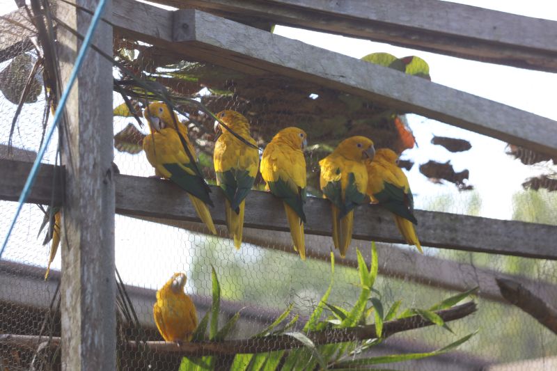  <div class='credito_fotos'>Foto: Rodrigo Pinheiro / Ag.Pará   |   <a href='/midias/2023/originais/16265_a009f4ae-7636-8830-c347-20ab8e570758.jpg' download><i class='fa-solid fa-download'></i> Download</a></div>