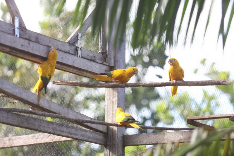  <div class='credito_fotos'>Foto: Rodrigo Pinheiro / Ag.Pará   |   <a href='/midias/2023/originais/16265_b94a563f-d009-21c3-1496-c11b881bb641.jpg' download><i class='fa-solid fa-download'></i> Download</a></div>