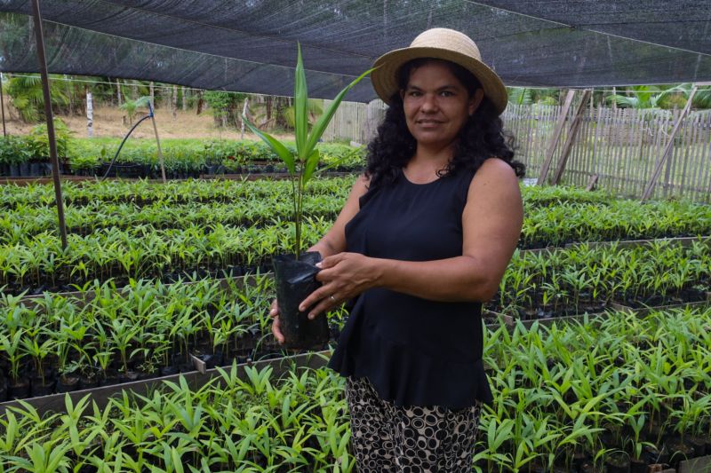  <div class='credito_fotos'>Foto: David Alves / Ag Pará   |   <a href='/midias/2023/originais/16278_bc9ba263-a04b-57a4-31b6-b590dc0d4fc6.jpg' download><i class='fa-solid fa-download'></i> Download</a></div>