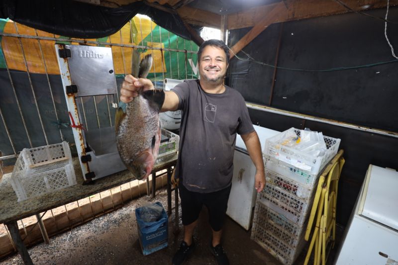 Robson Roberto, peixeiro(2)