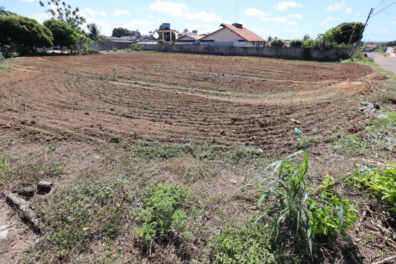 TERRENO ONDE SERA´ CONSTRUI´DO A COMPANHIA DA POLI´CIA MILITAR - BREU BRANCO PA - FOTOS MARCELO SEABRA <div class='credito_fotos'>Foto: Marcelo Seabra / Ag. Pará | <a href='/midias/2023/originais/16413_baa40743-f13d-df14-ab1e-c9376654c0e1.jpg' download><i class='fa-solid fa-download'></i> Download</a></div>